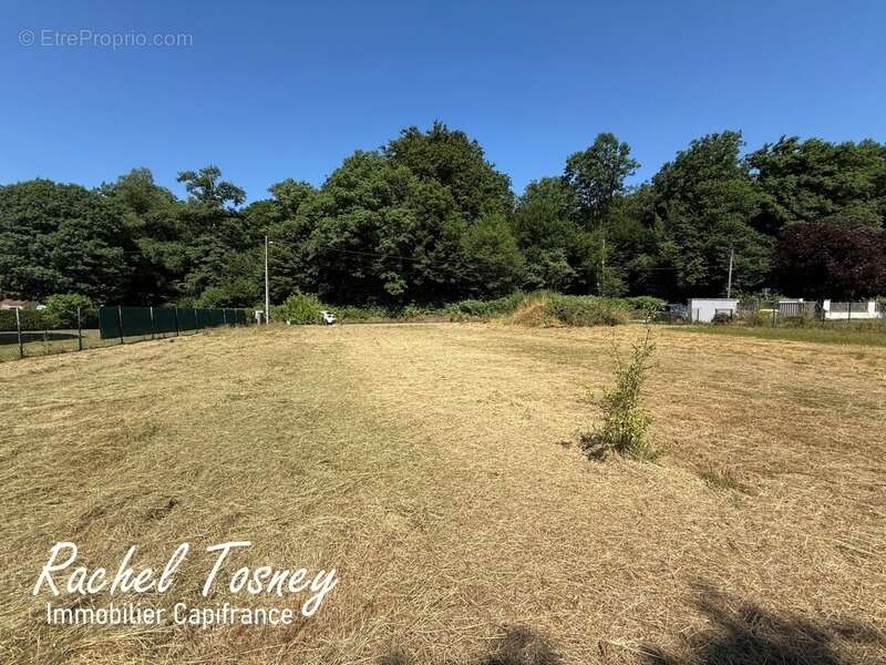 Terrain à vendre  ELOIE (90), de 1039 m² plat ! - photo 2