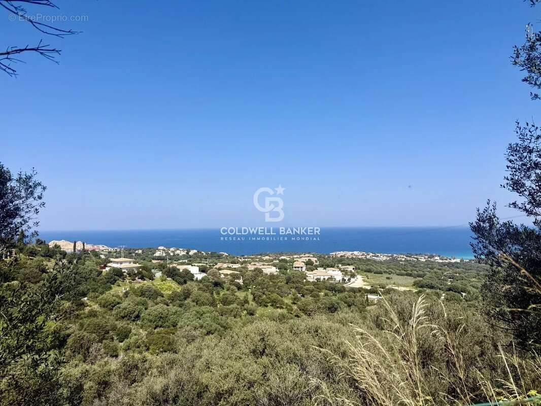 Terrain à MONTICELLO