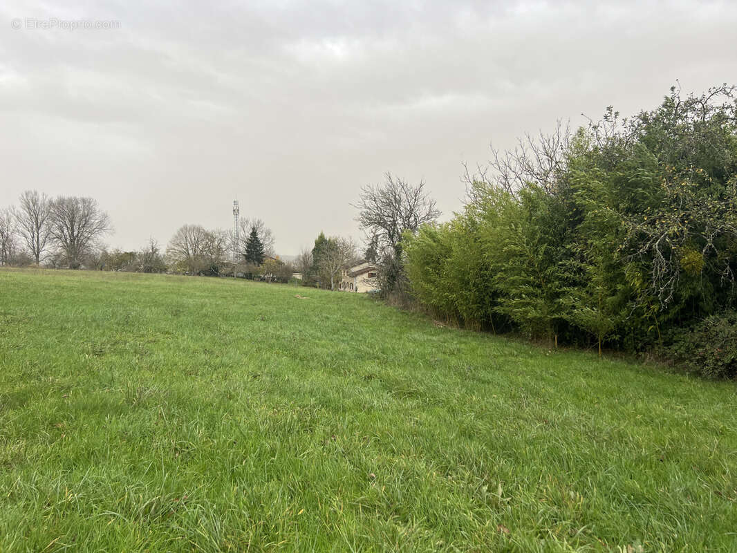 Autre à SAINT-LEON-SUR-L'ISLE