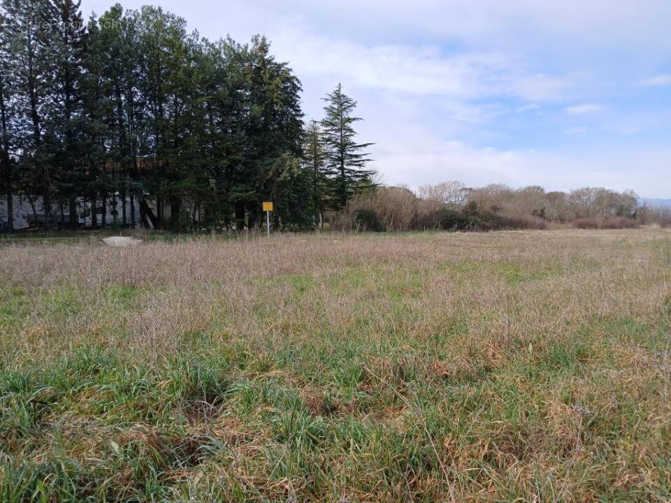 Terrain à SAINT-THEODORIT