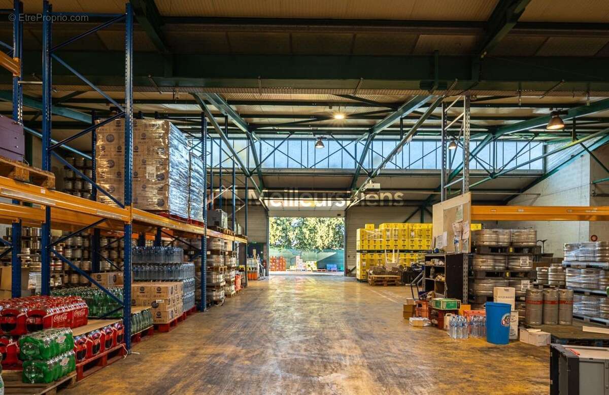 Commerce à AVIGNON
