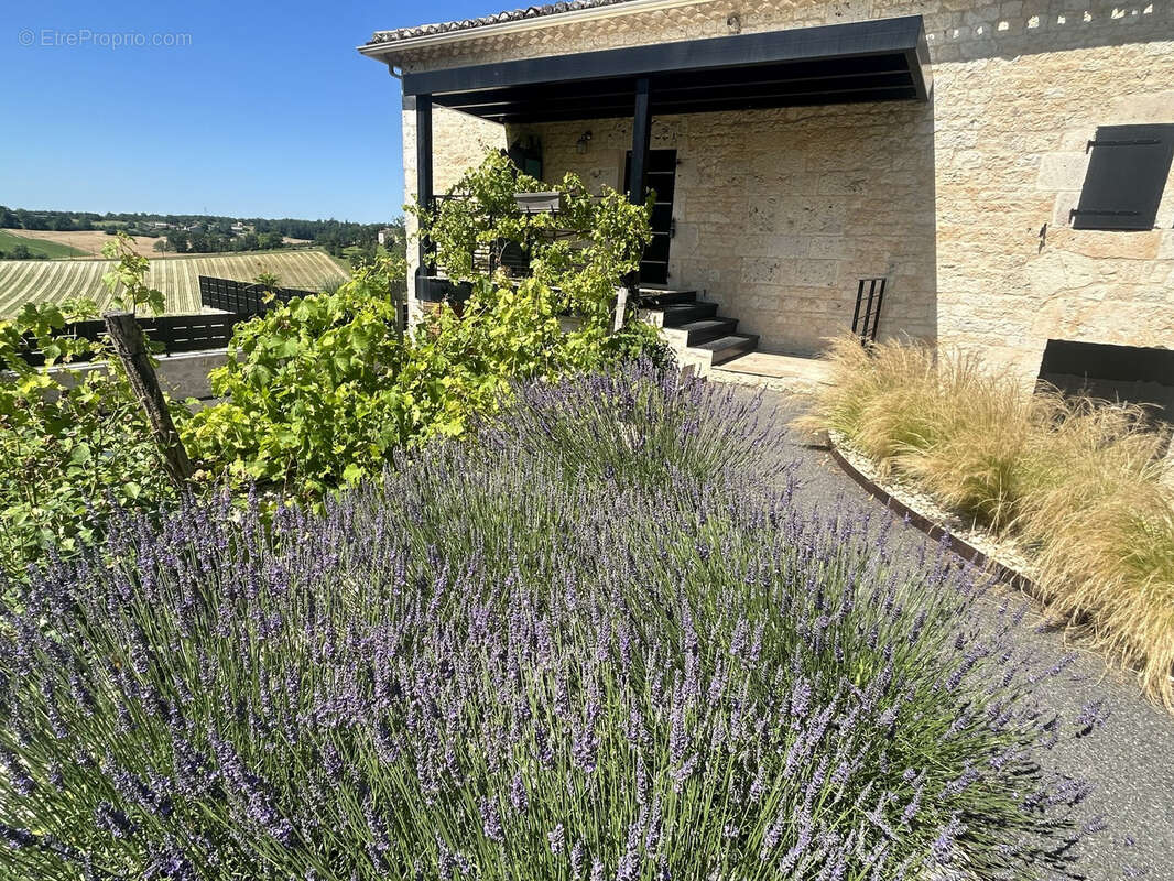 Maison à MONTDOUMERC