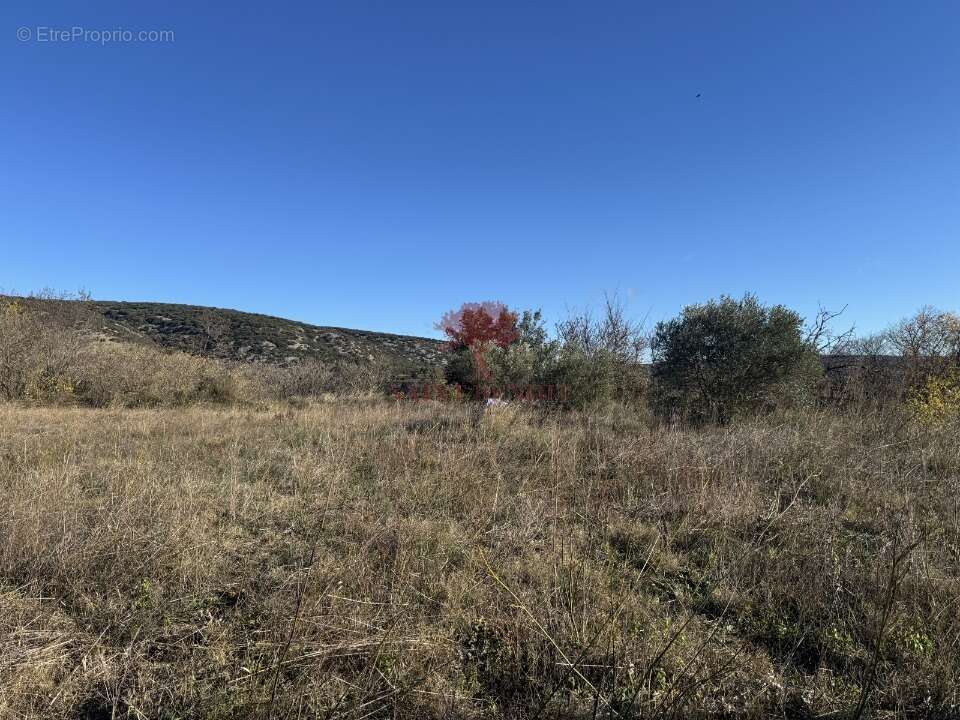 Terrain à SAINT-JEAN-DE-FOS