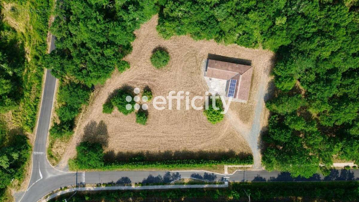 Maison 182 m² à Origne  - photo 14