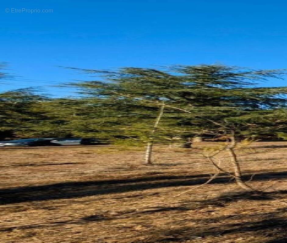 Terrain à VILLANIERE