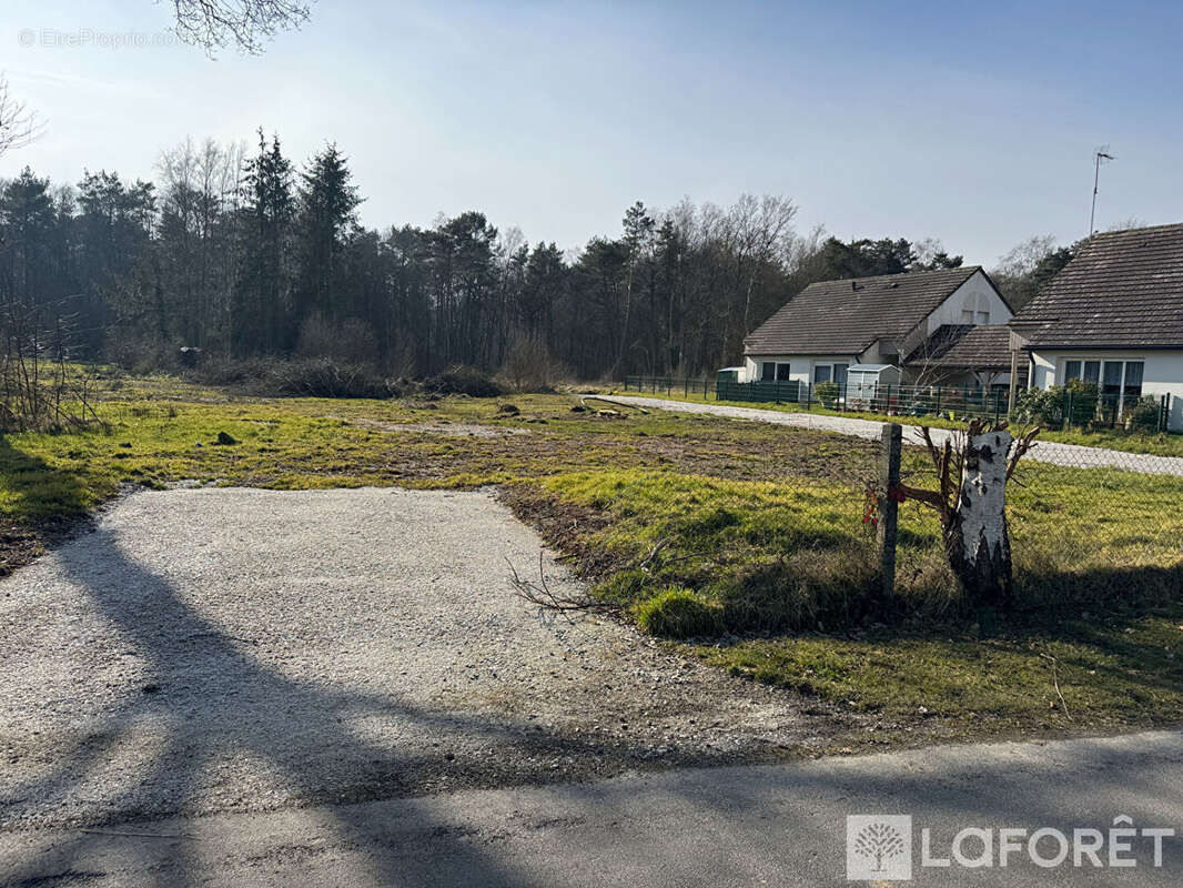 Terrain à LA FERTE-FRENEL