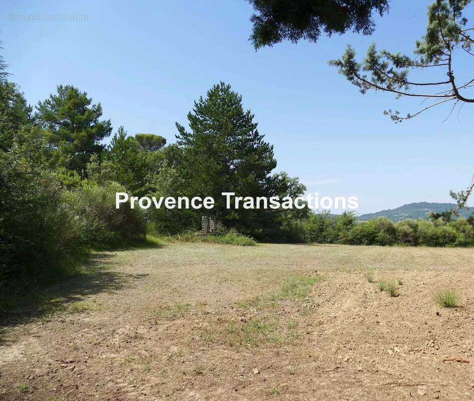 Maison de 170m² avec piscine sur plus d'un hectare! - photo 7