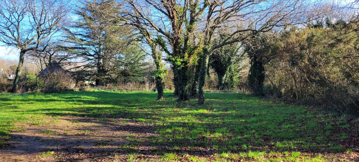 Terrain à MOELAN-SUR-MER