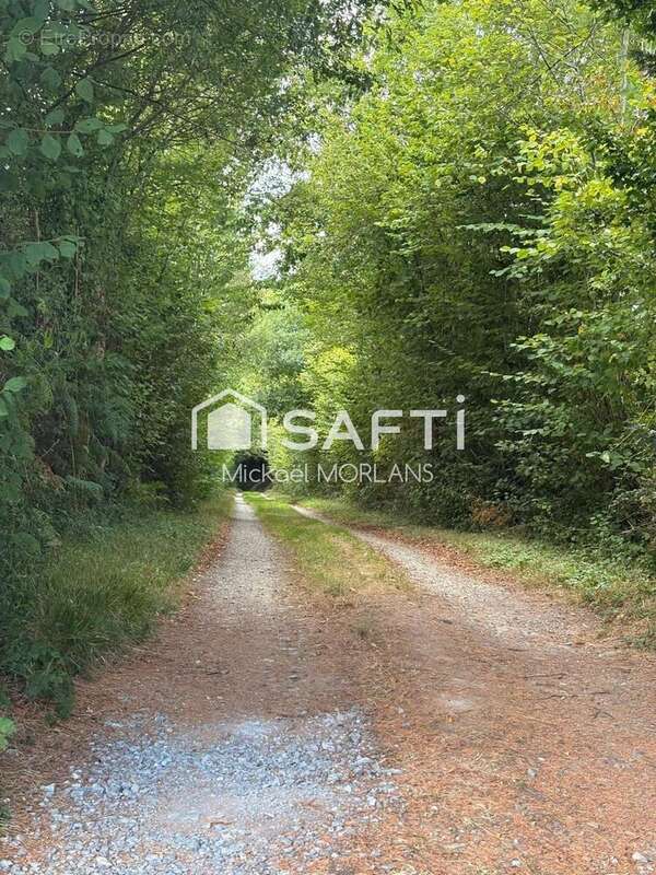 Photo 3 - Maison à MAULEON-LICHARRE