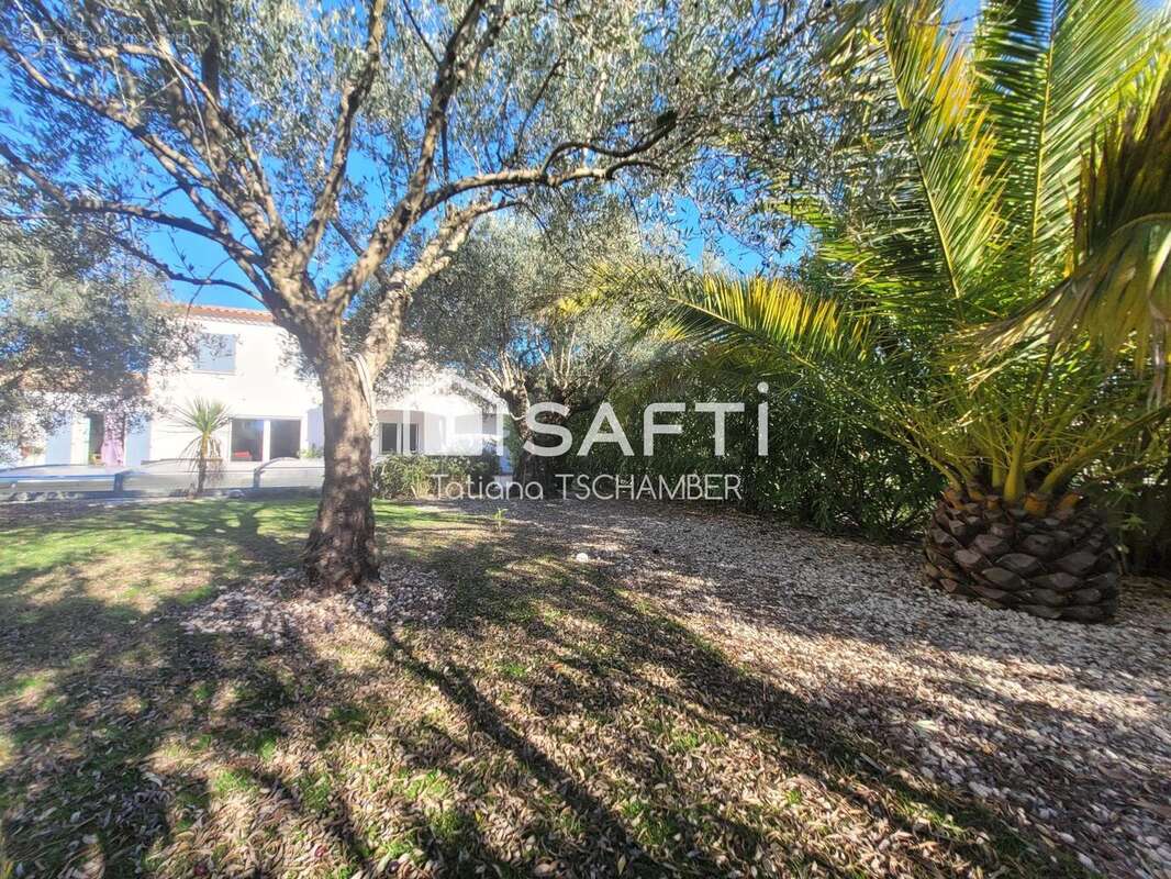 Photo 7 - Maison à SAINT-SIFFRET