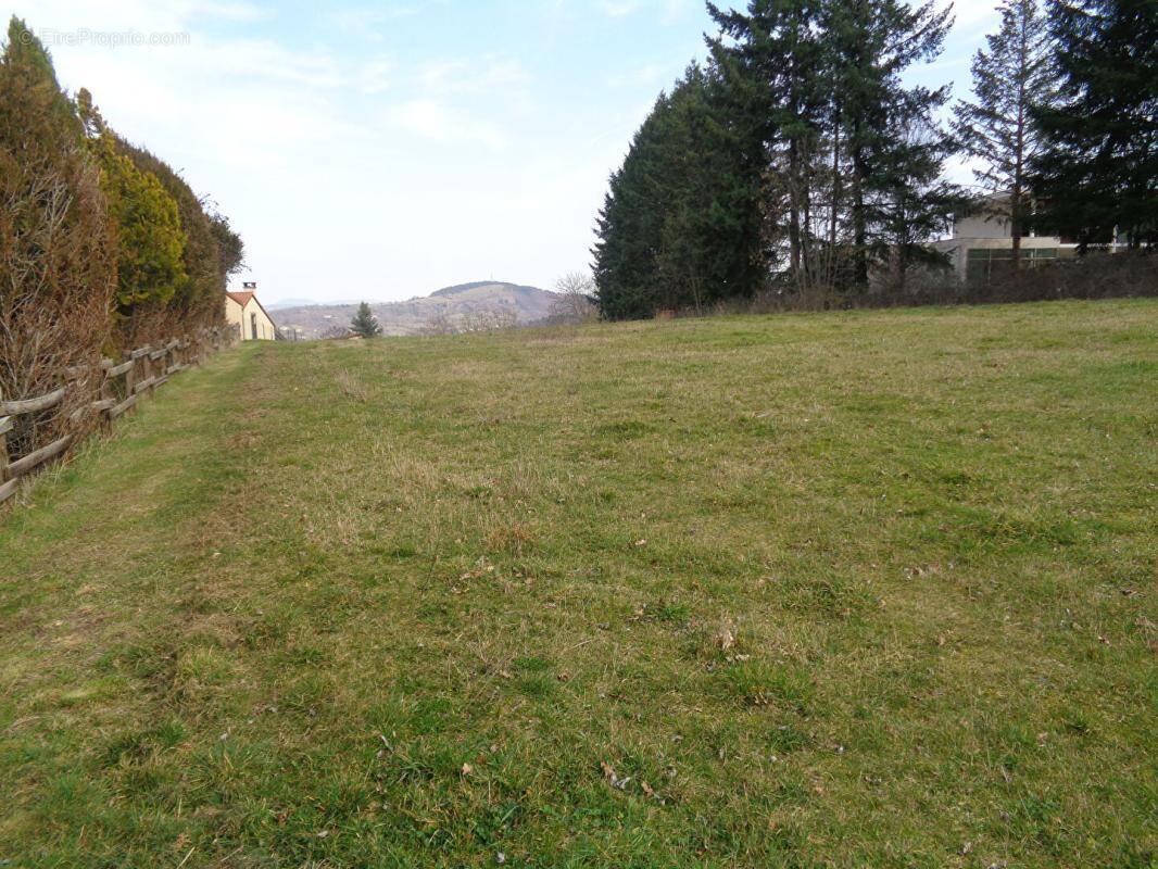 Terrain à SANSSAC-L'EGLISE