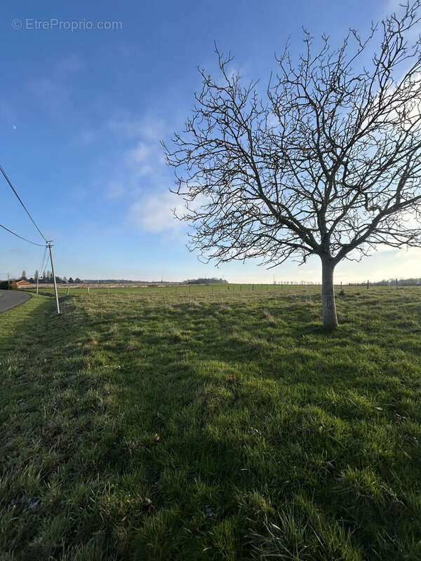 Photo 4 - Terrain à LA FERTE-GAUCHER
