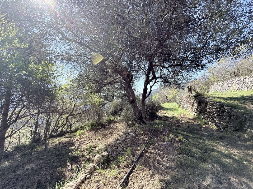 Maison à BREIL-SUR-ROYA