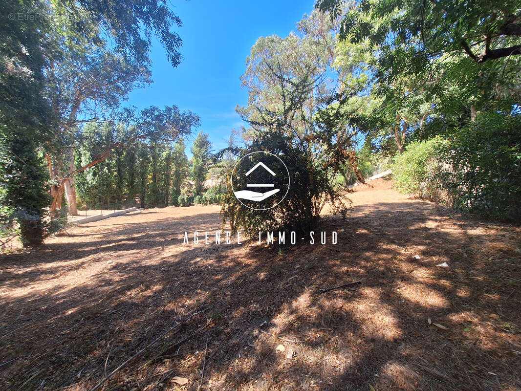 Terrain à SAINT-PAUL