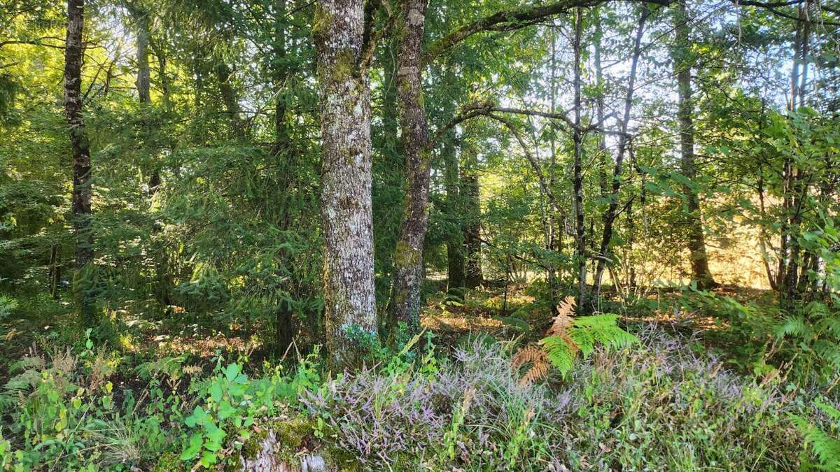 Terrain 1245m² - environnement campagne - calme - photo 6