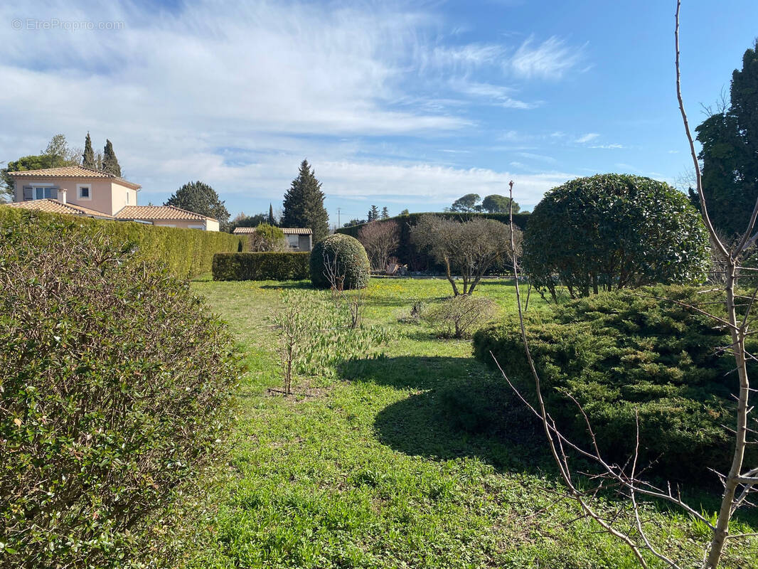 Terrain à PERNES-LES-FONTAINES