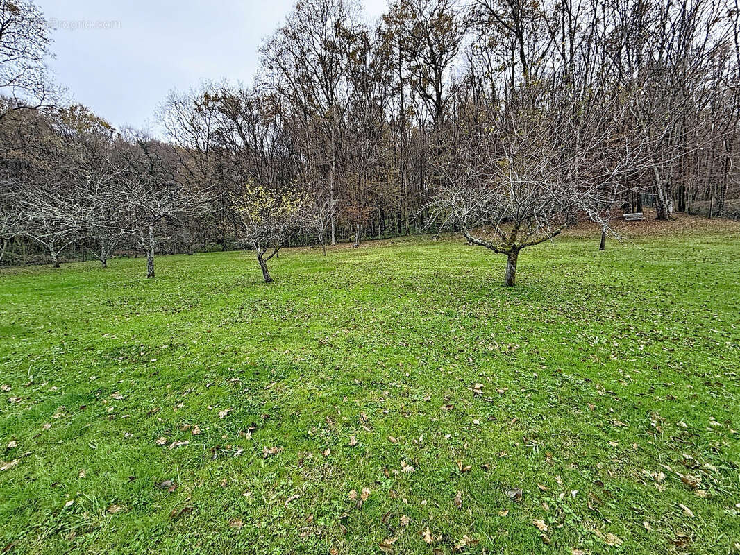 Maison à SAINT-VIANCE