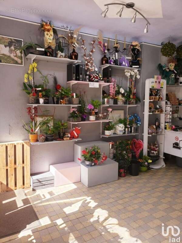 Photo 4 - Commerce à REHON