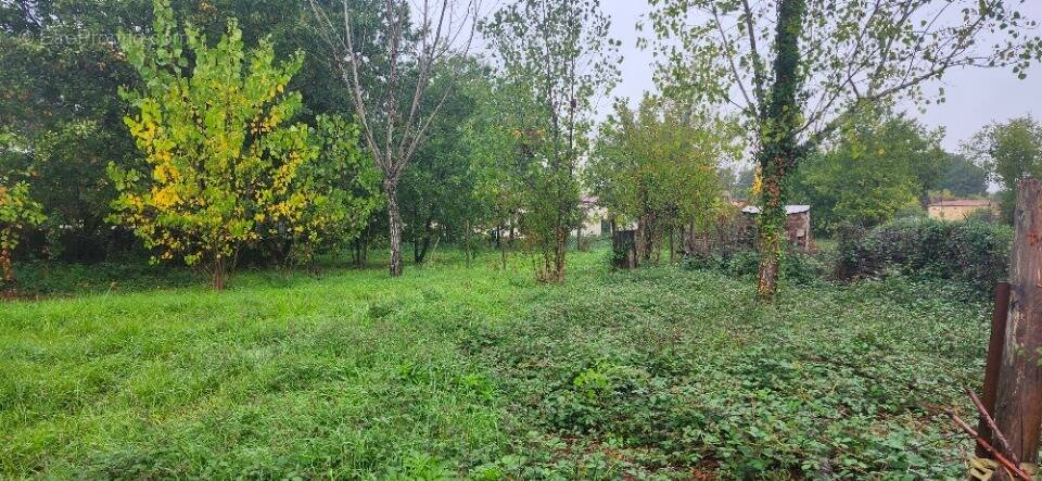 Terrain à SENOUILLAC