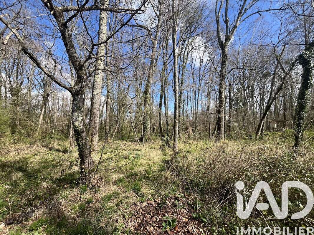 Photo 3 - Terrain à ODOS
