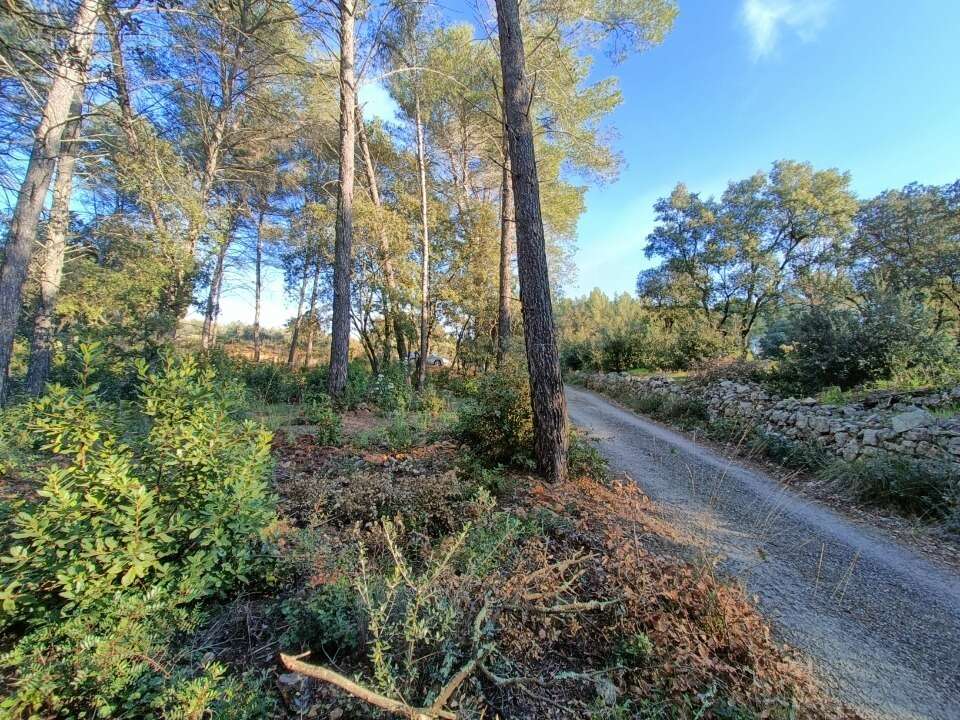 Terrain à TRANS-EN-PROVENCE