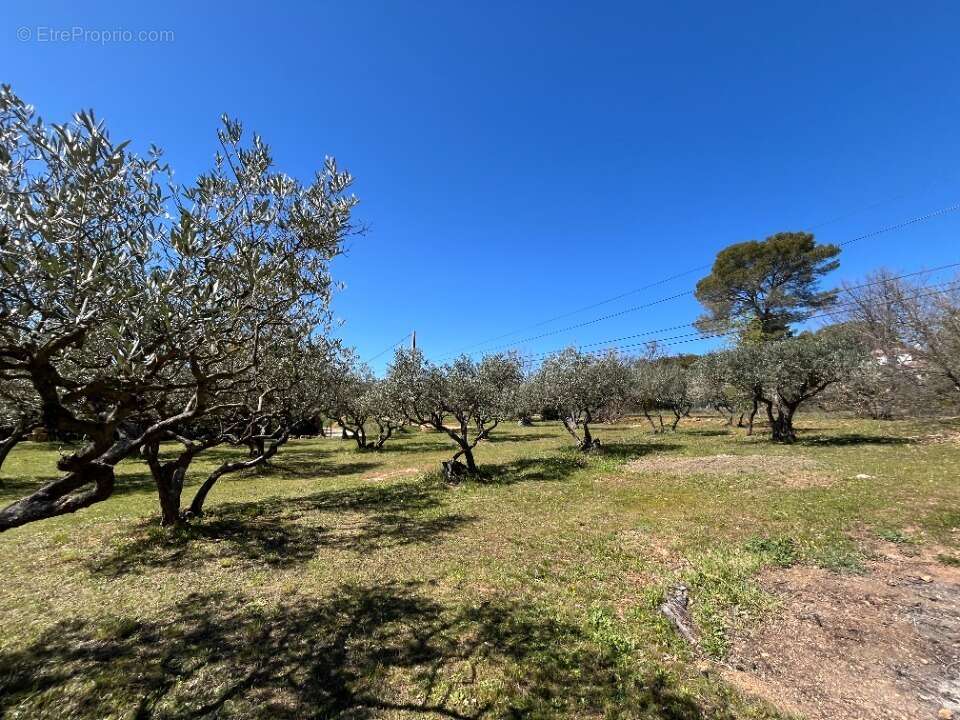 Terrain 1050 m² à Salernes  - photo 2