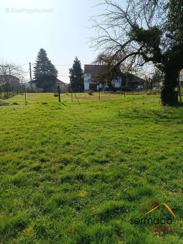 Terrain à GUEBENHOUSE