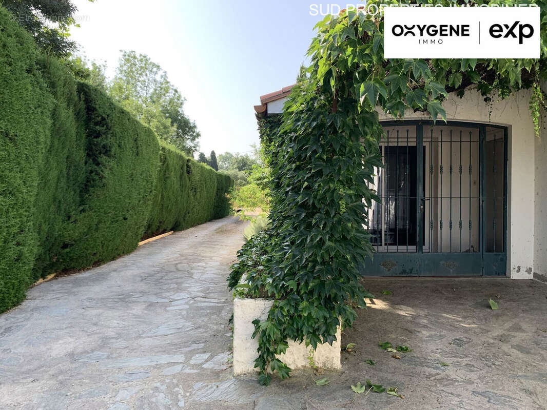 Maison 214 m² à Saint-Esteve  - photo 8
