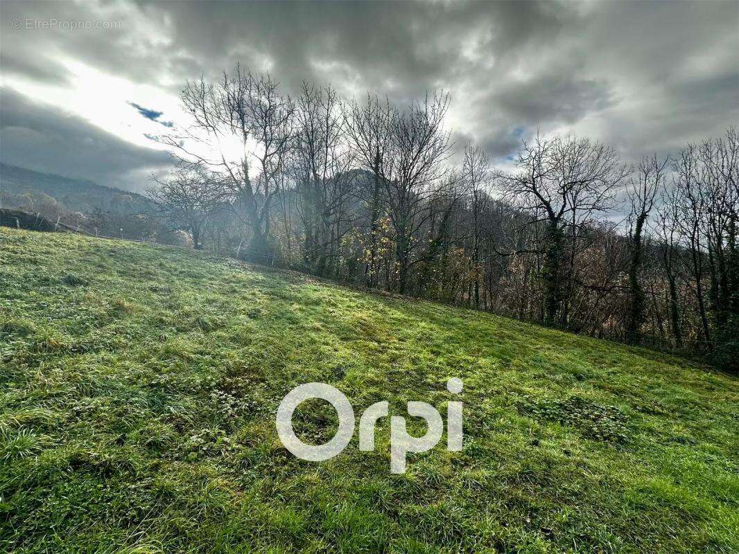 Terrain à LA COMBE-DE-LANCEY