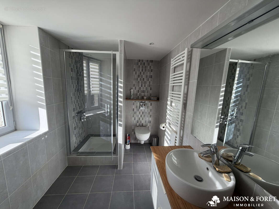 Maison à OUZOUER-SUR-TREZEE