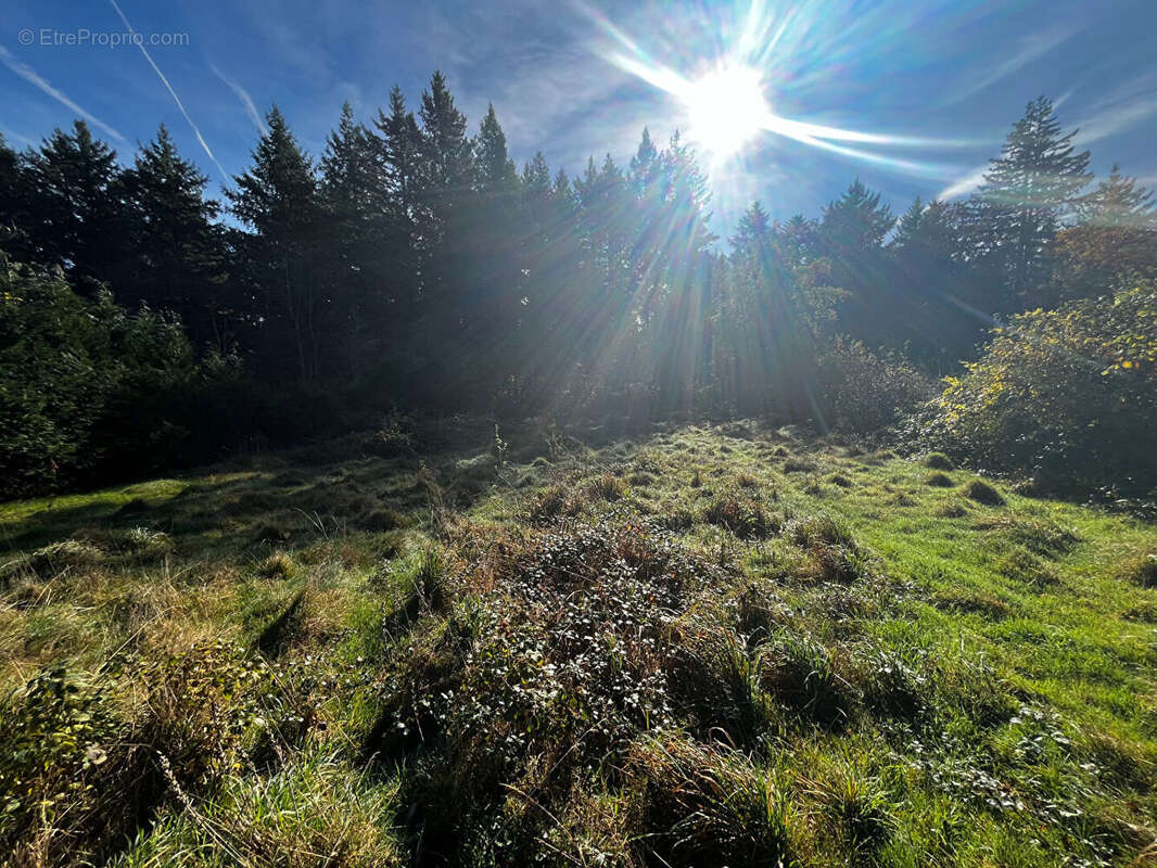 Terrain à CHANTRAINE