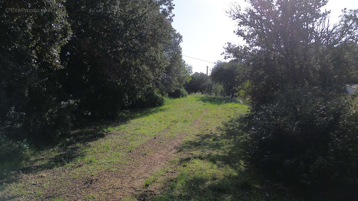 Terrain à PUECHABON