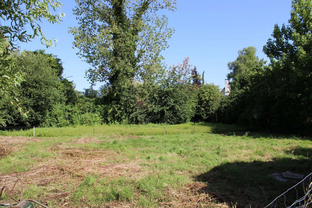 Photo 4 - Maison à YZEUX