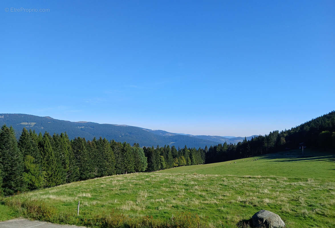 Appartement à STOSSWIHR