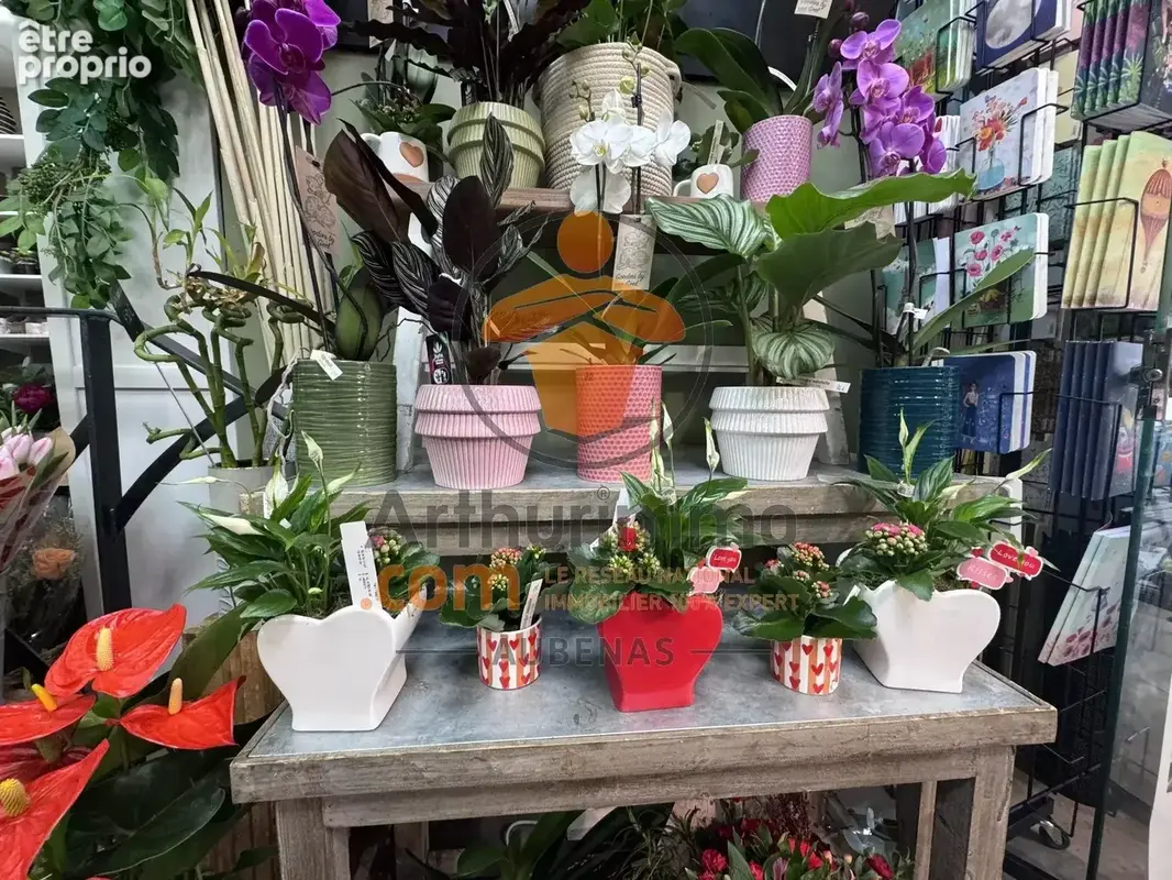 Vente Boutique Aubenas(07200) 35 000ï¿œ - photo 7