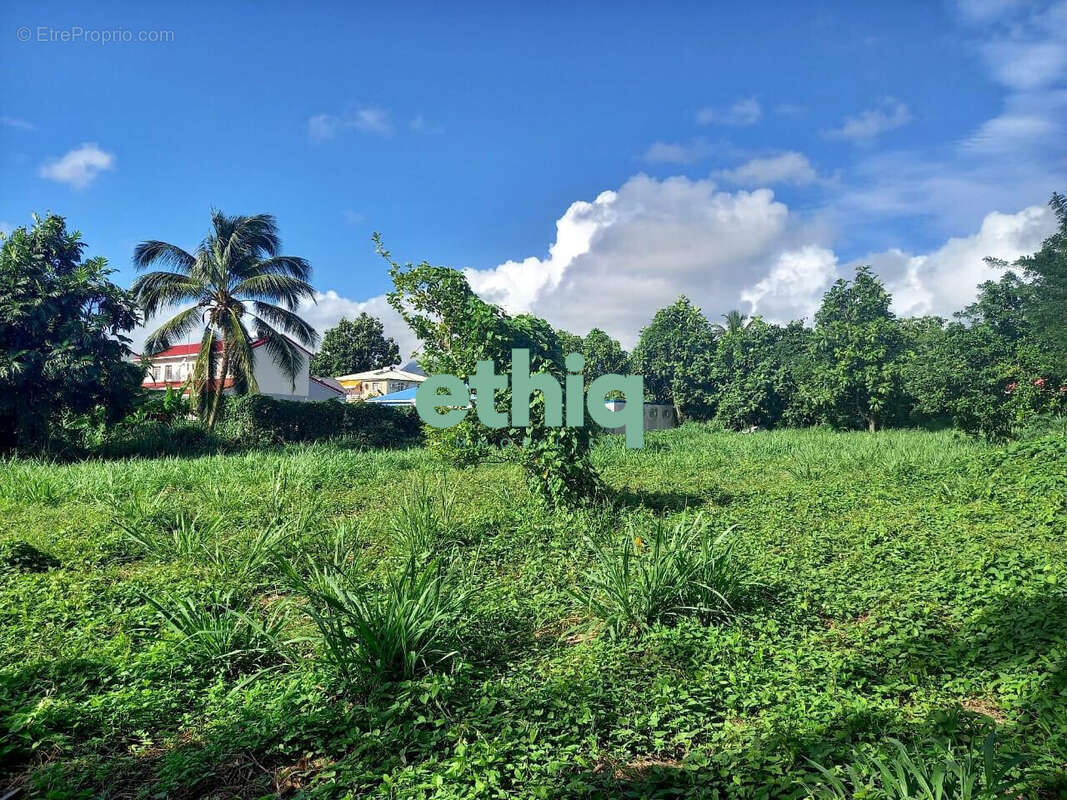 Terrain à CAPESTERRE-BELLE-EAU