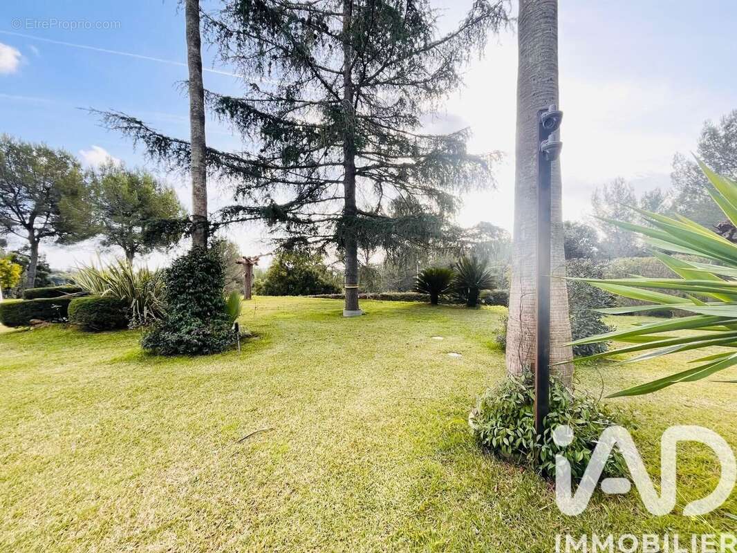 Photo 7 - Maison à BIOT