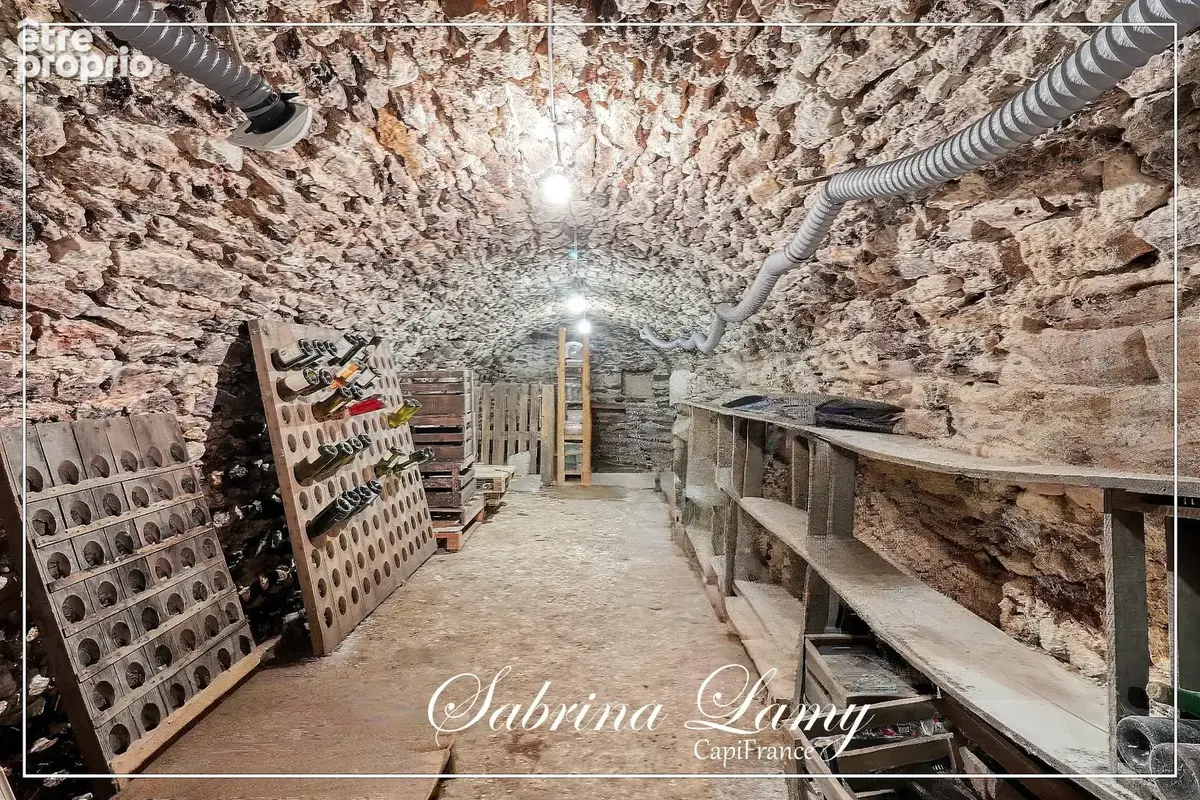 Maison à vendre 5 pièces GRAUVES (51) - 3 chambres - Cave Voutée - Style longère - photo 11