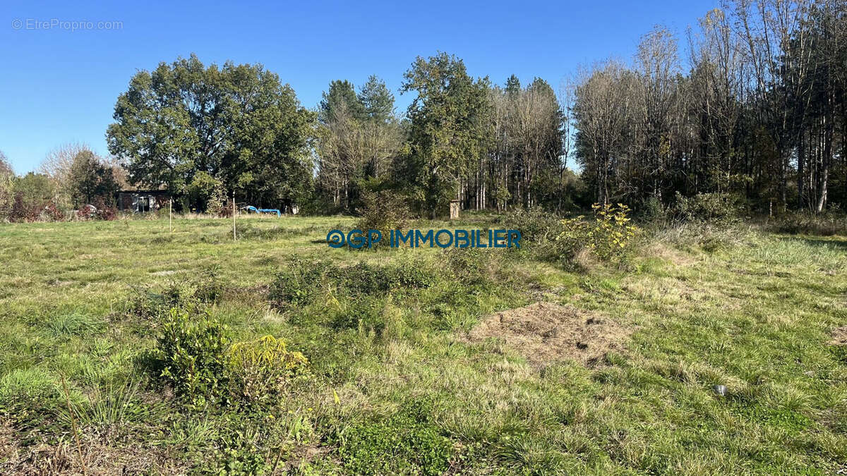 Terrain à VILLEMATIER
