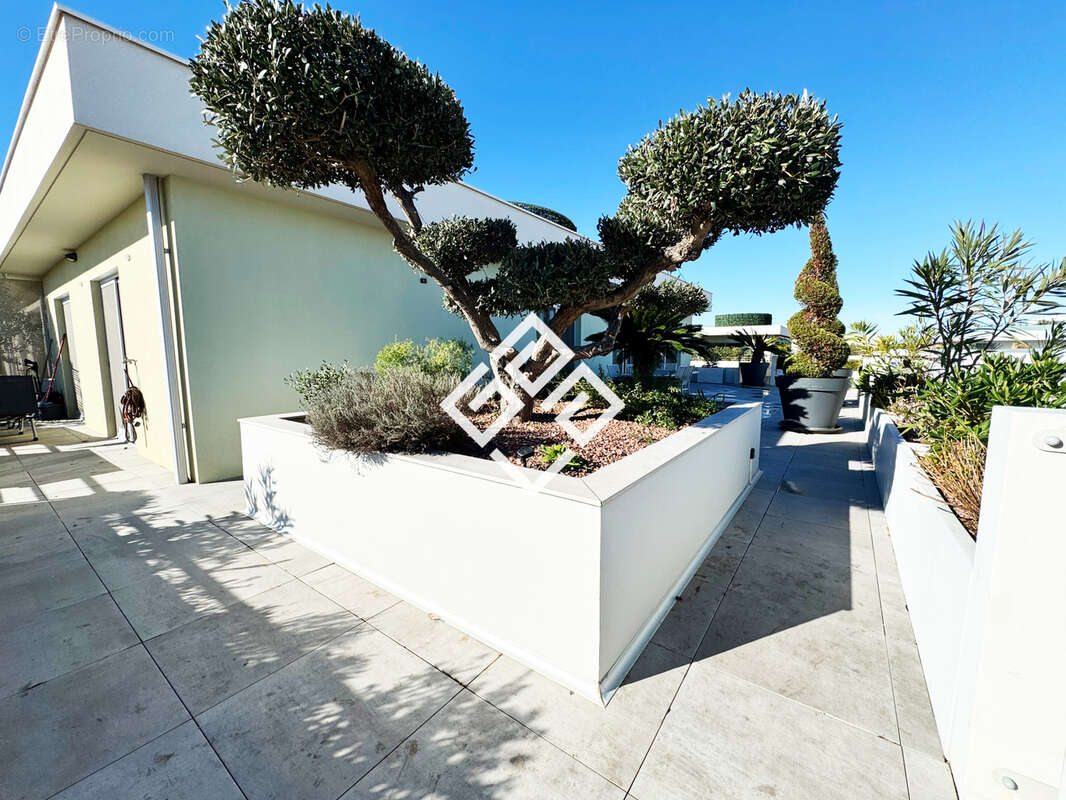 Appartement à NARBONNE