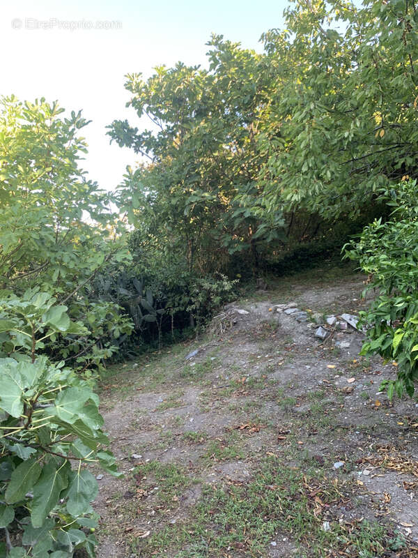 Maison à SAN-NICOLAO