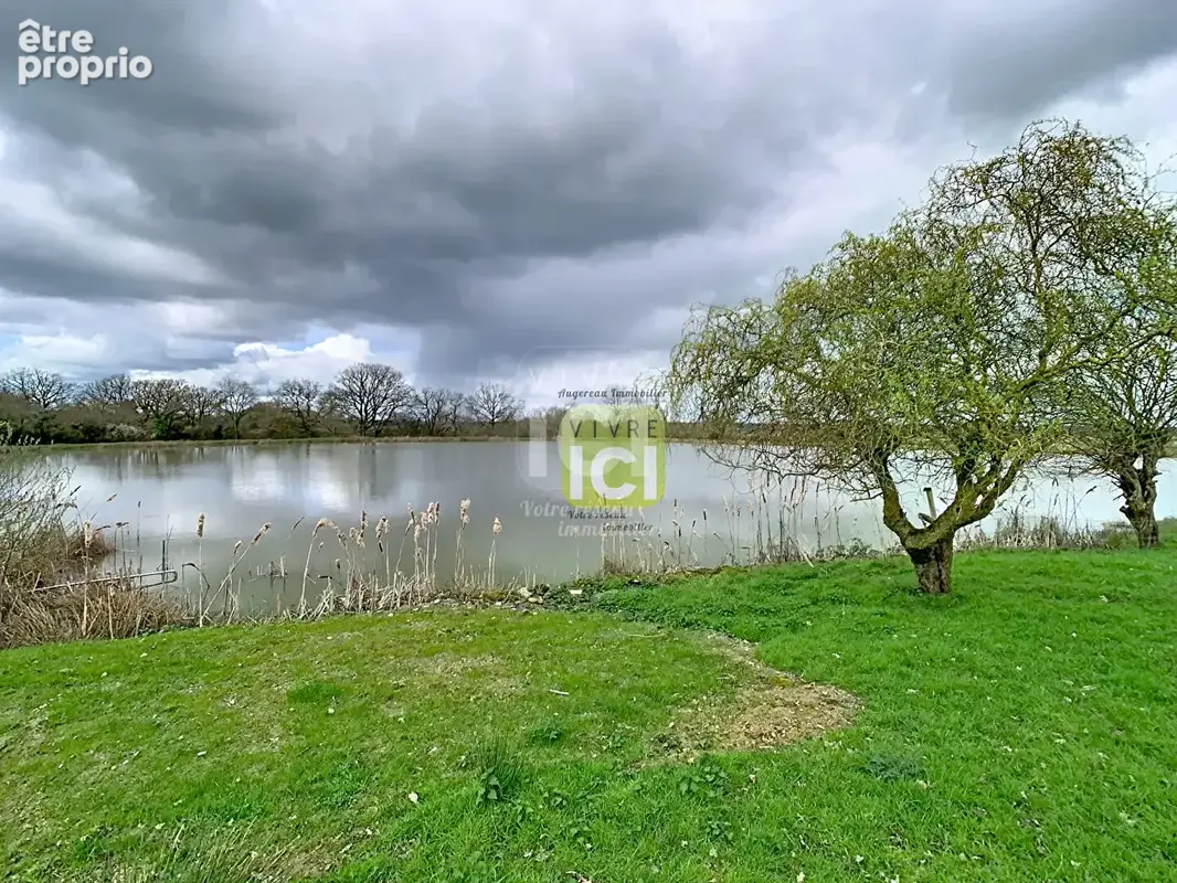 Etang La Romagne - photo 11