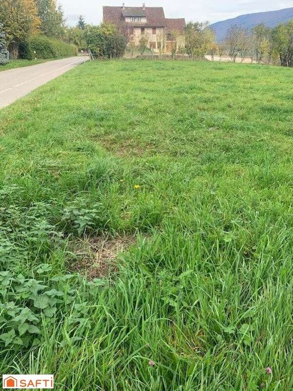 Photo 2 - Terrain à AYN