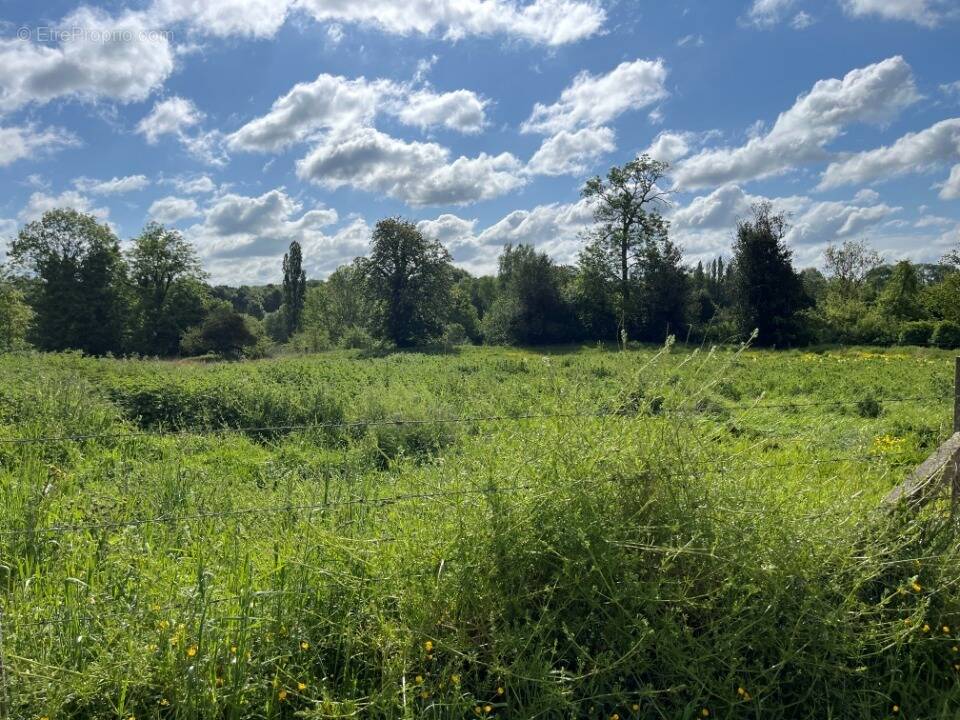Terrain à MONS-BOUBERT