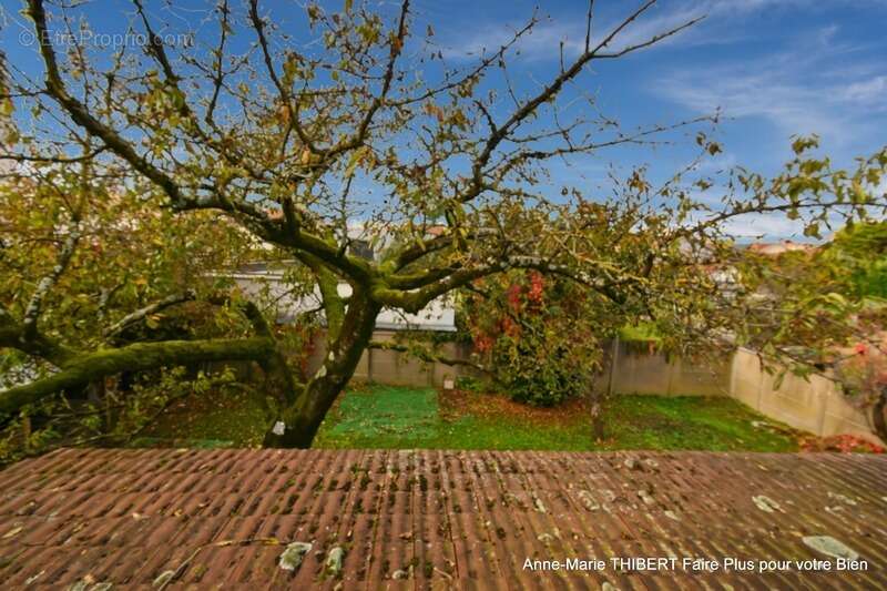 Maison à VILLEURBANNE
