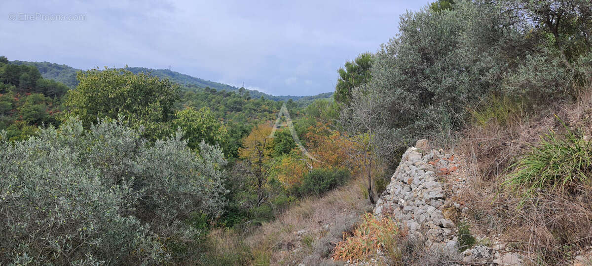 Terrain à CORBIERES