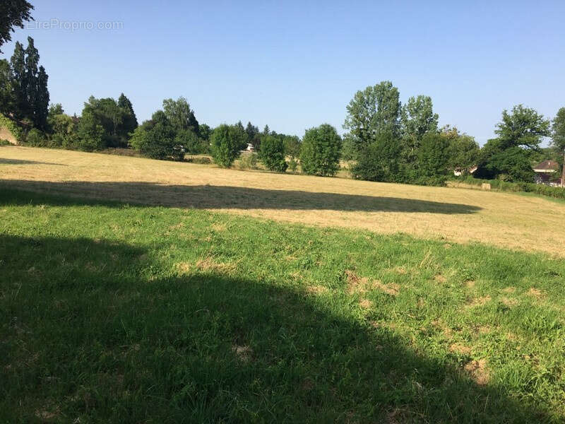 Terrain de 1500 m2 - photo 2
