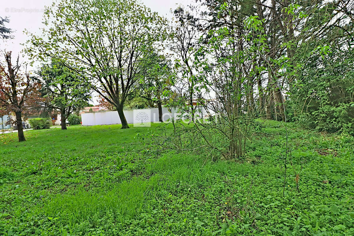 Terrain à SAINTE-SOULLE