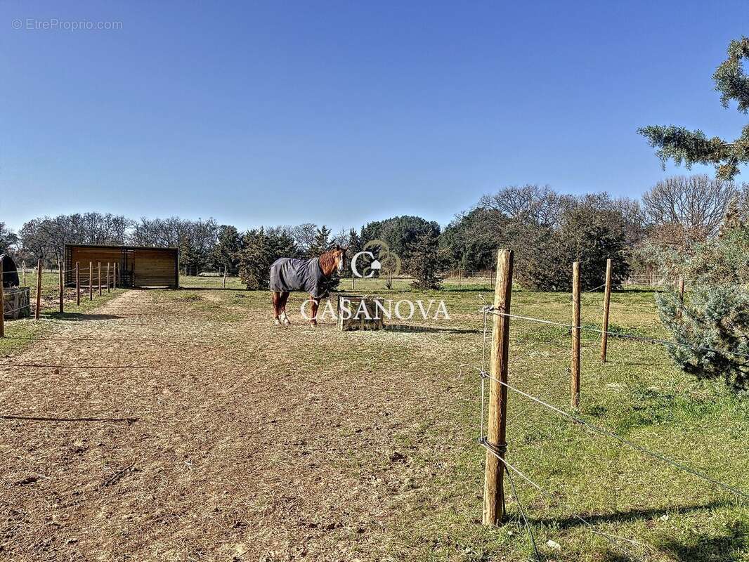 Propriété 5 hectares - Villa et dépendances :  331 m2 habitables - piscine - oliveraie - enclos chevaux - photo 19