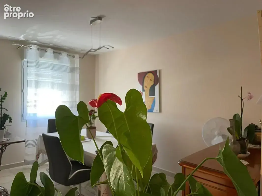 Quartier mar-vivo  proche plage appartement 4 pieces terrasse ascenseur parking prive - photo 4